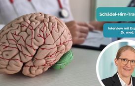 Expertin Im Interview zu Schädel-Hirn-Trauma Dr. Petra Mummel und ein Modell eines Gehirns