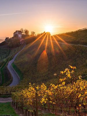 MEDICLIN Traumazentrum Durbach MEDICLIN Traumazentrum Durbach